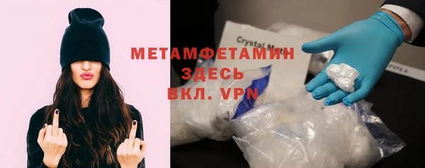 гидра Аркадак