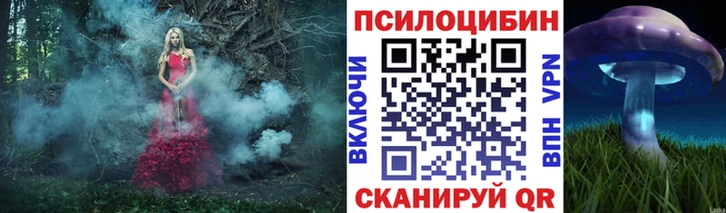 omg ТОР  Удомля  Псилоцибиновые грибы Psilocybe  как найти закладки 
